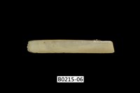 藏品(竹蟶)的圖片